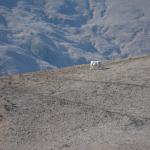 Cambria_2015_0327 (November 08, 2015)